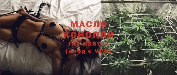 дживик Верхний Тагил