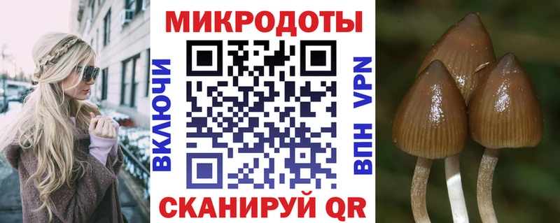 Псилоцибиновые грибы GOLDEN TEACHER  дарнет шоп  omg tor  Сочи 